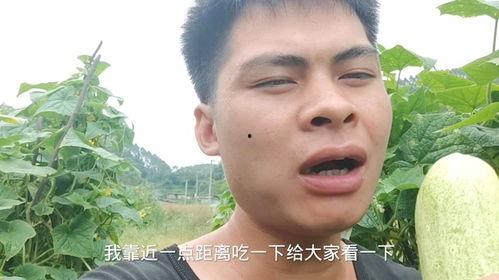 深情吃瓜趴皮墙,揭秘娱乐圈背后的真实故事