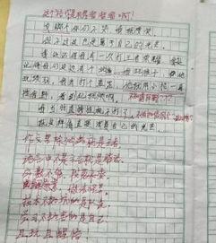吃瓜想起种瓜人作文,探寻种瓜人的智慧与传承