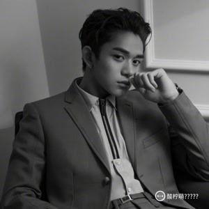 什么什么熙男明星,闪耀舞台的璀璨星辰