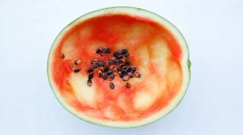 一勺吃瓜,揭秘娱乐圈背后的故事