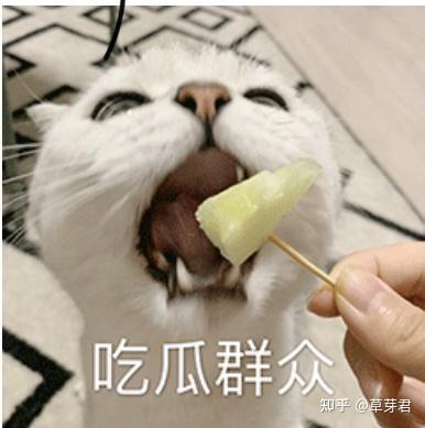 吃瓜侵犯他人隐私,隐私边界何在？揭秘网络隐私侵犯现象